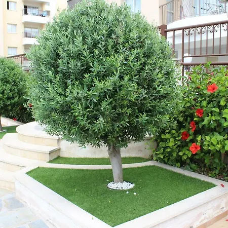Διαμέρισμα Golden Koilanemou Λεμεσός